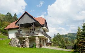 Klimkówka 96 - Dom w górach nad jeziorem
